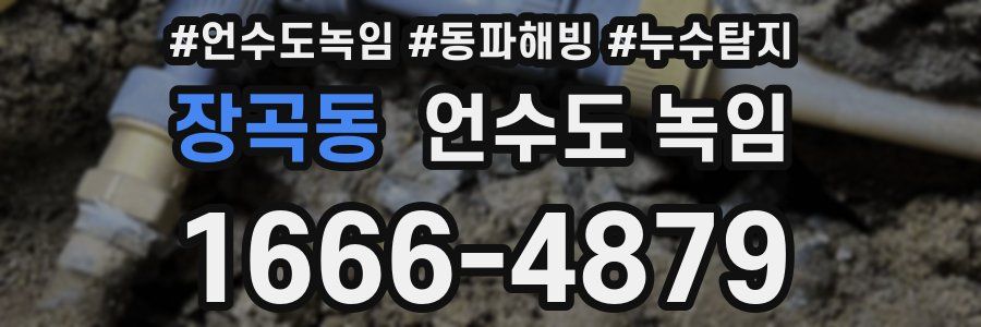 장곡동 언수도 녹임