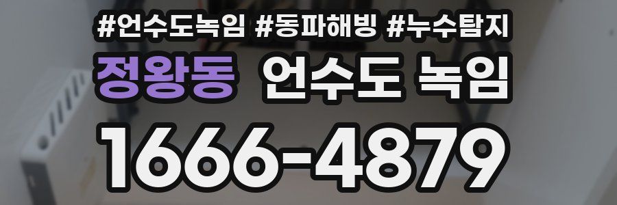 정왕동 언수도 녹임