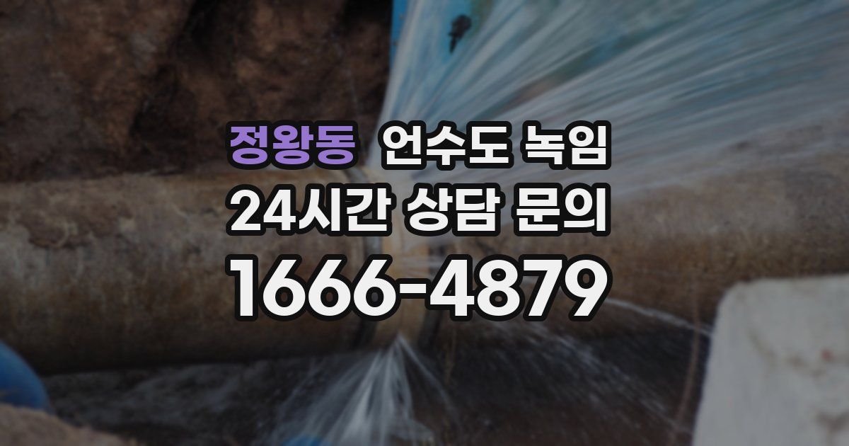 정왕동 언수도 녹임