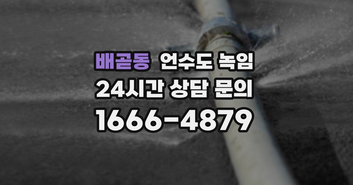 배곧동 언수도 녹임