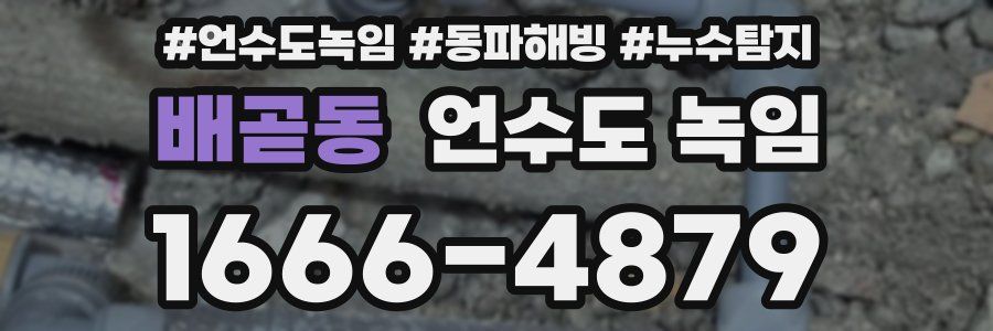 배곧동 언수도 녹임
