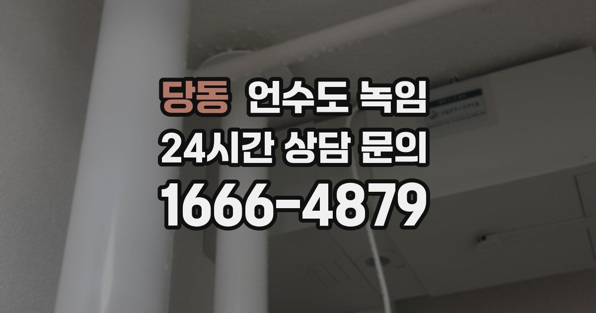 당동 언수도 녹임