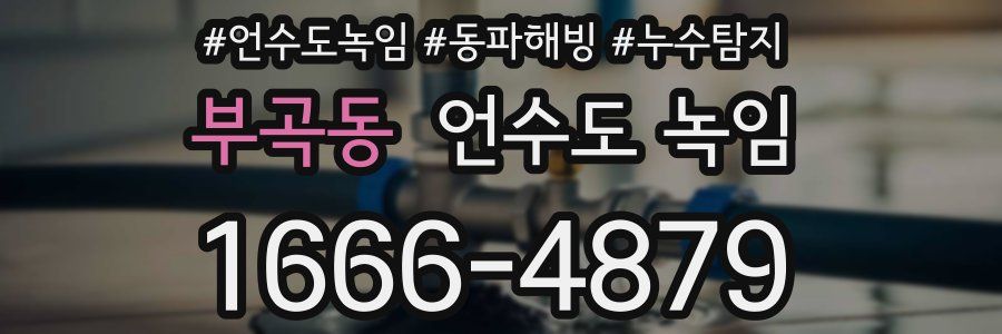 부곡동 언수도 녹임