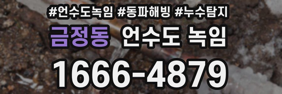 금정동 언수도 녹임