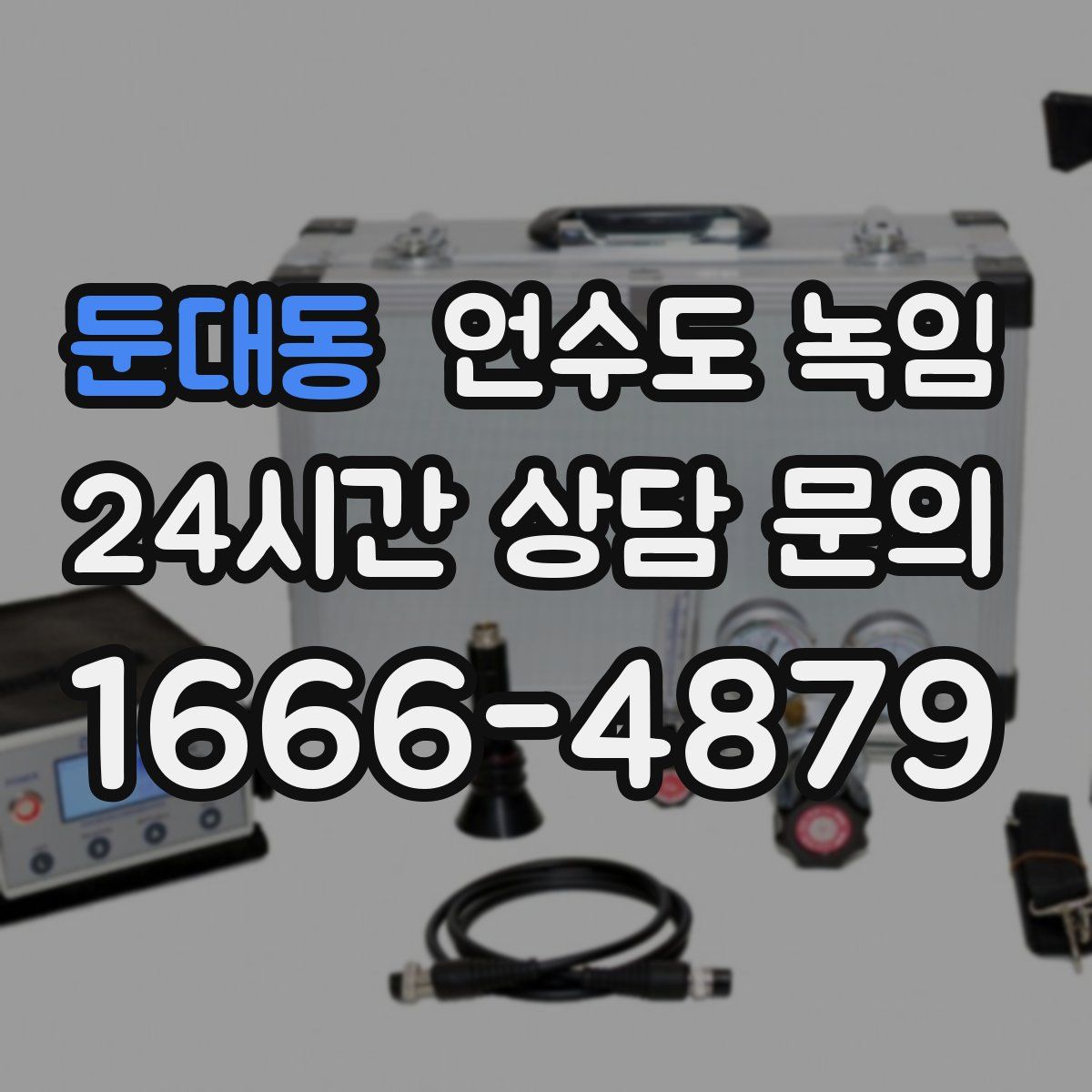 둔대동 언수도 녹임