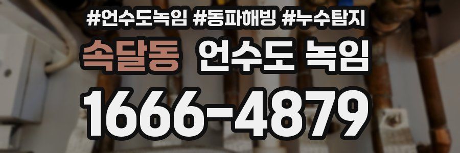 속달동 언수도 녹임