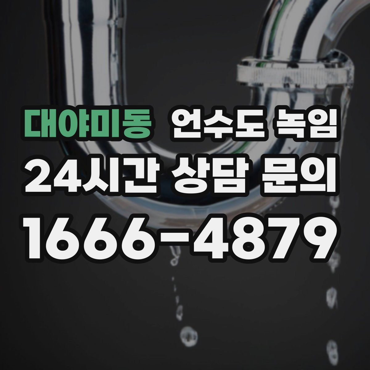 대야미동 언수도 녹임