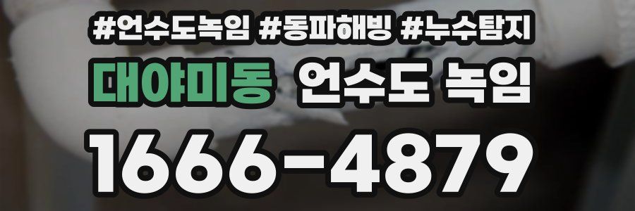 대야미동 언수도 녹임