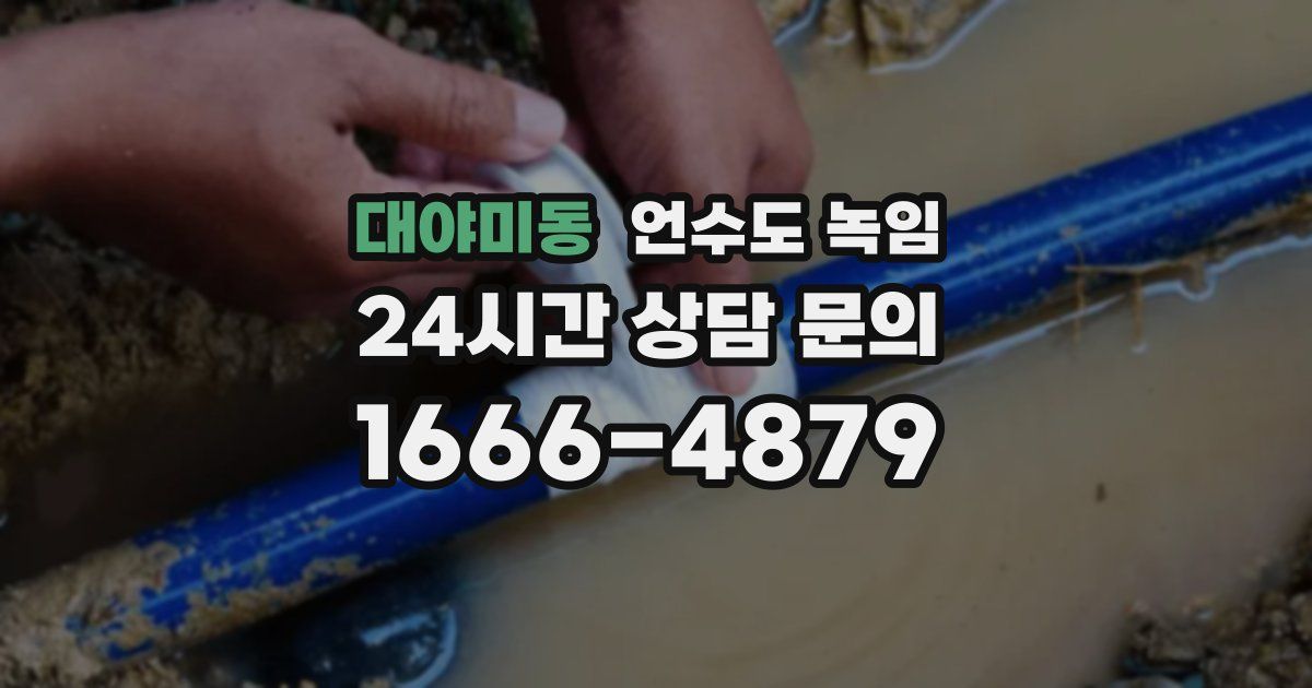 대야미동 언수도 녹임