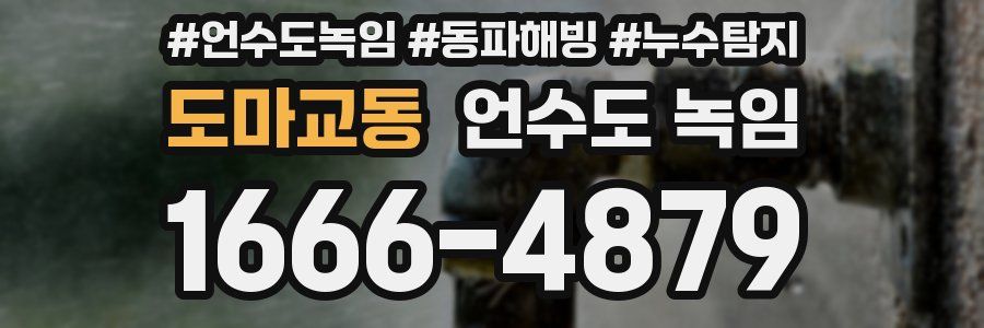 도마교동 언수도 녹임