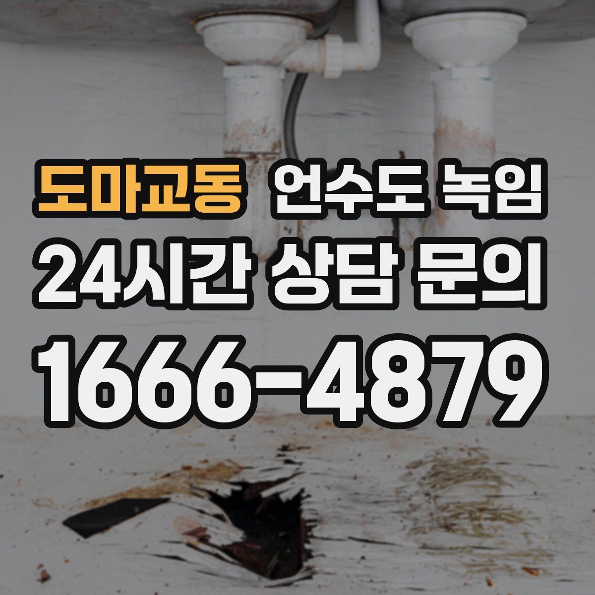 도마교동 언수도 녹임