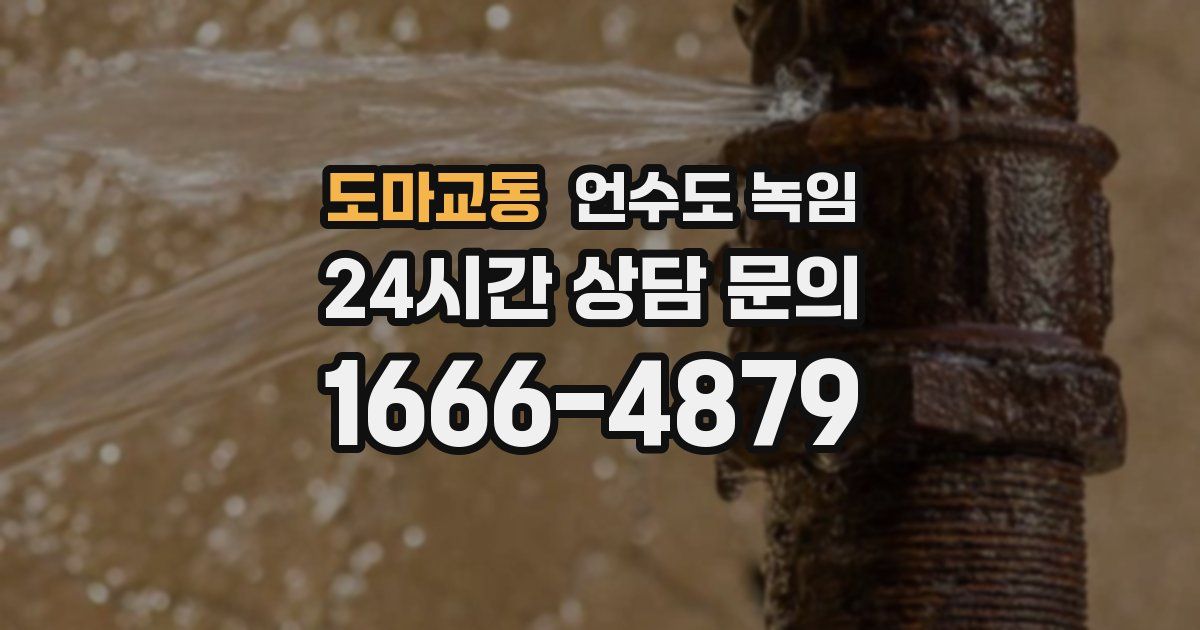 도마교동 언수도 녹임