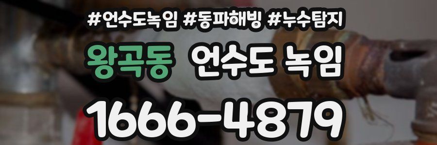 왕곡동 언수도 녹임