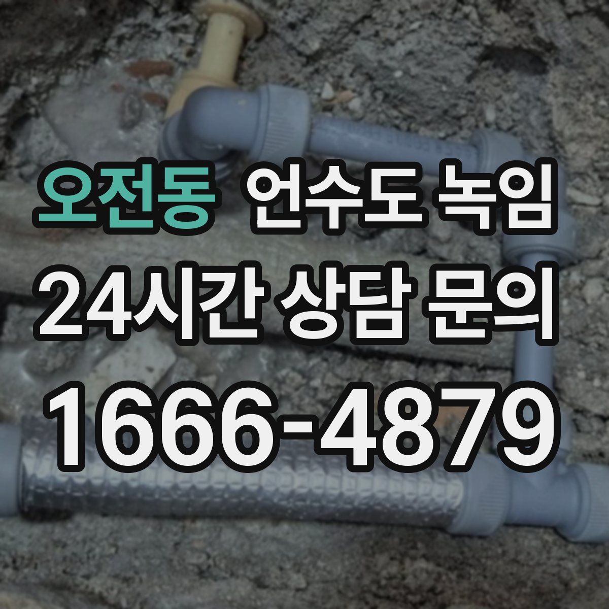 오전동 언수도 녹임