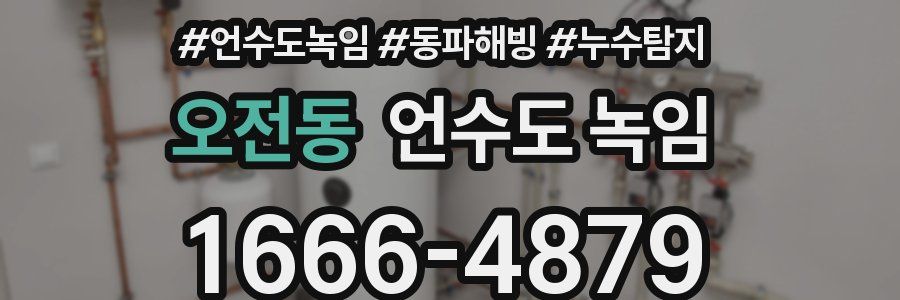 오전동 언수도 녹임