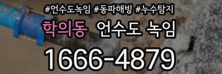 학의동 언수도 녹임