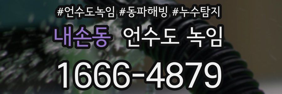 내손동 언수도 녹임