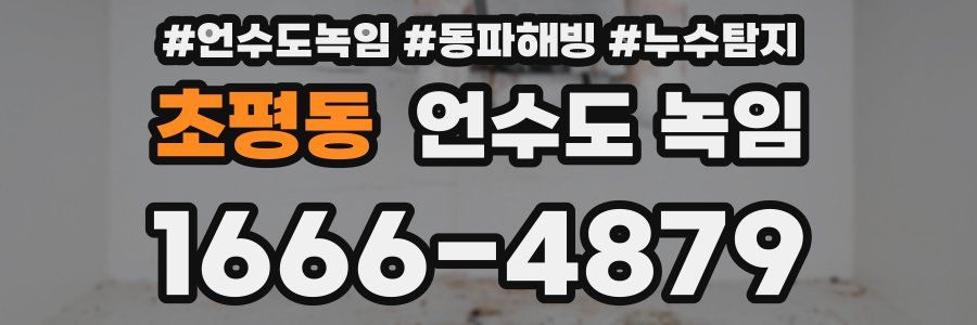 초평동 언수도 녹임