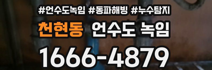 천현동 언수도 녹임