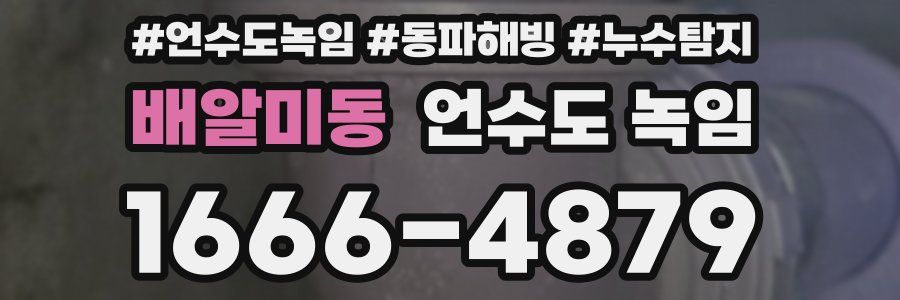 배알미동 언수도 녹임