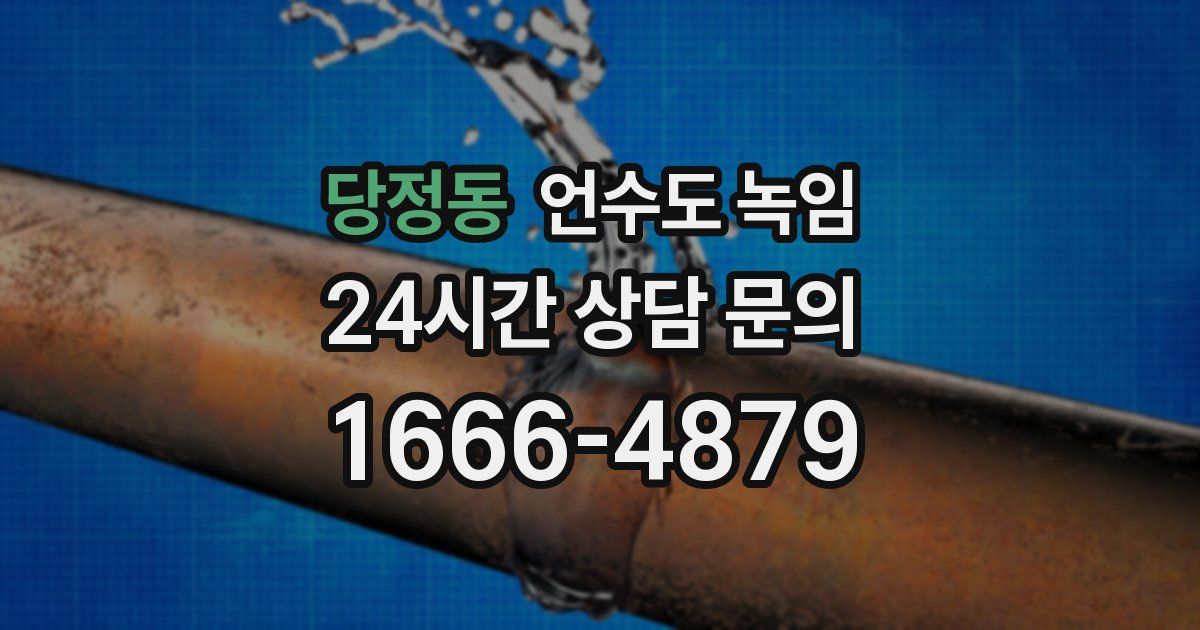 당정동 언수도 녹임