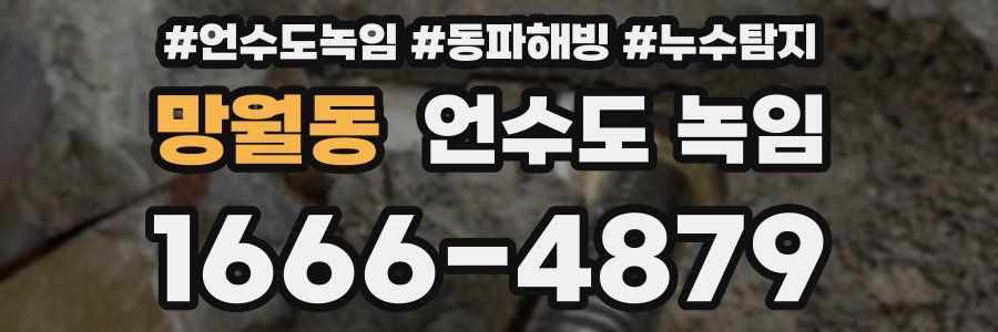 망월동 언수도 녹임