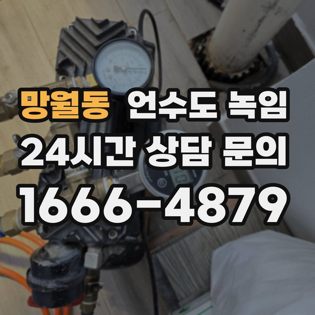 망월동 언수도 녹임