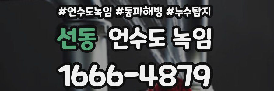 선동 언수도 녹임