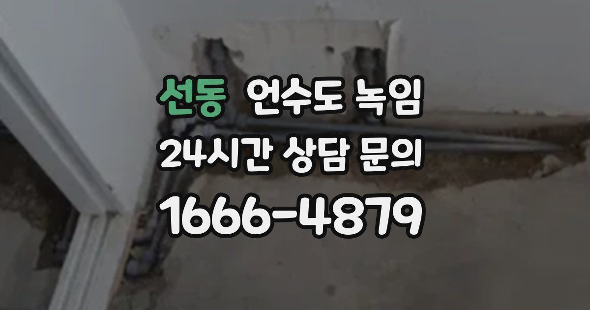 선동 언수도 녹임