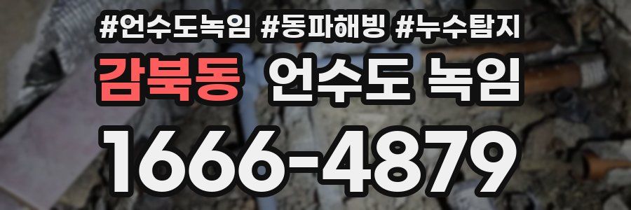 감북동 언수도 녹임