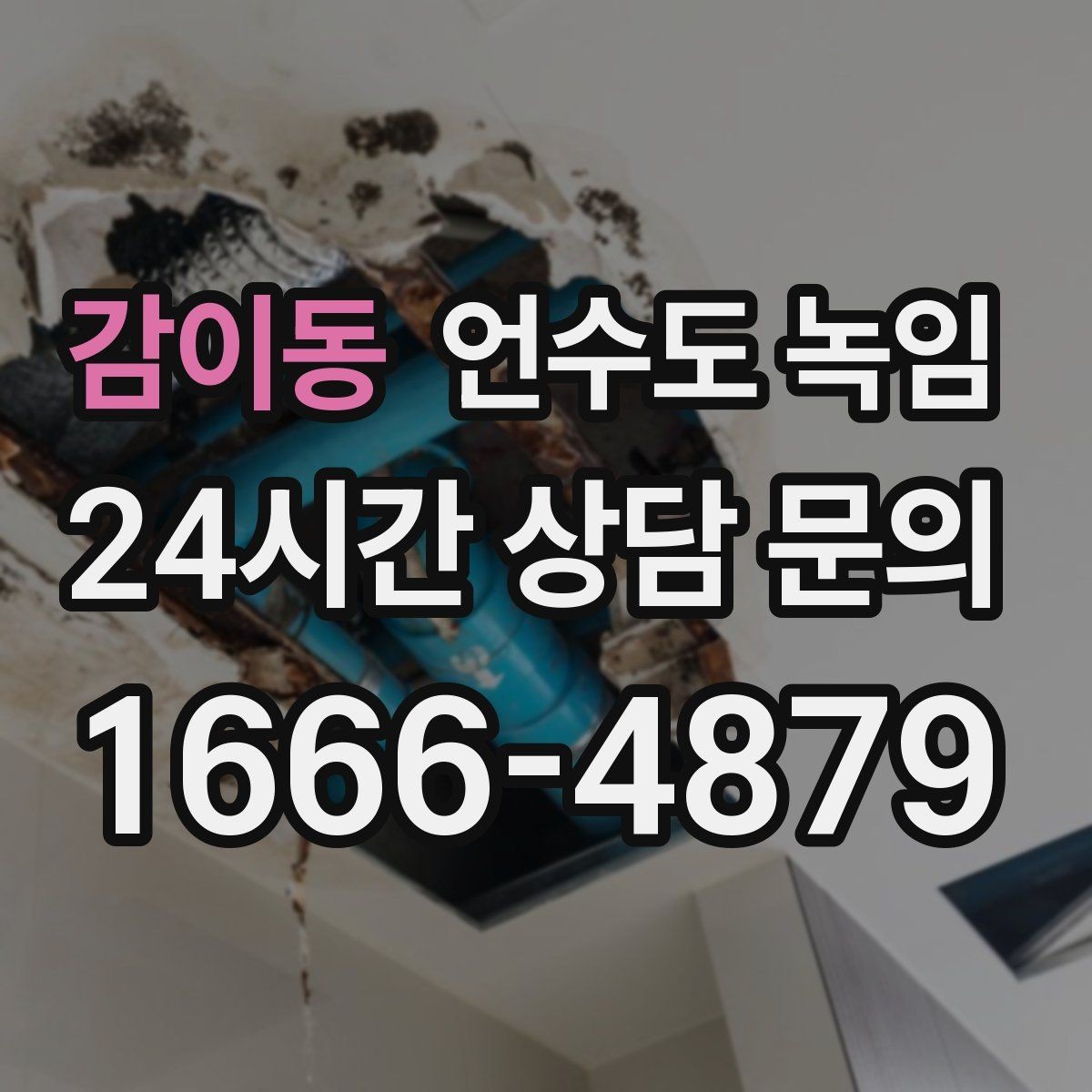 감이동 언수도 녹임 냉수만 약할 때 계량기함 결빙 의심 포인트