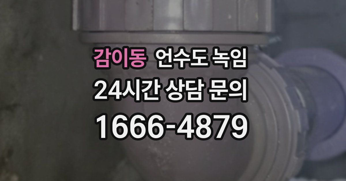 감이동 언수도 녹임