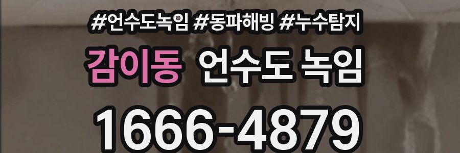 감이동 언수도 녹임