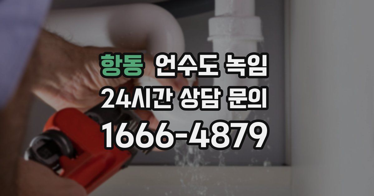 항동 언수도 녹임