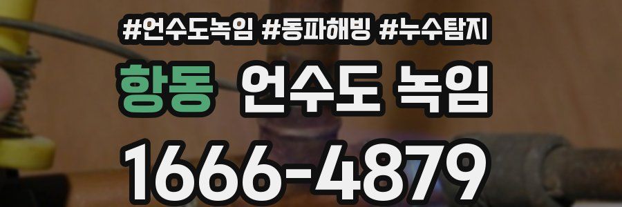 항동 언수도 녹임