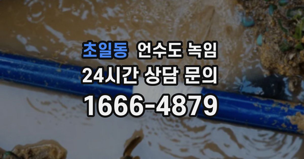 초일동 언수도 녹임