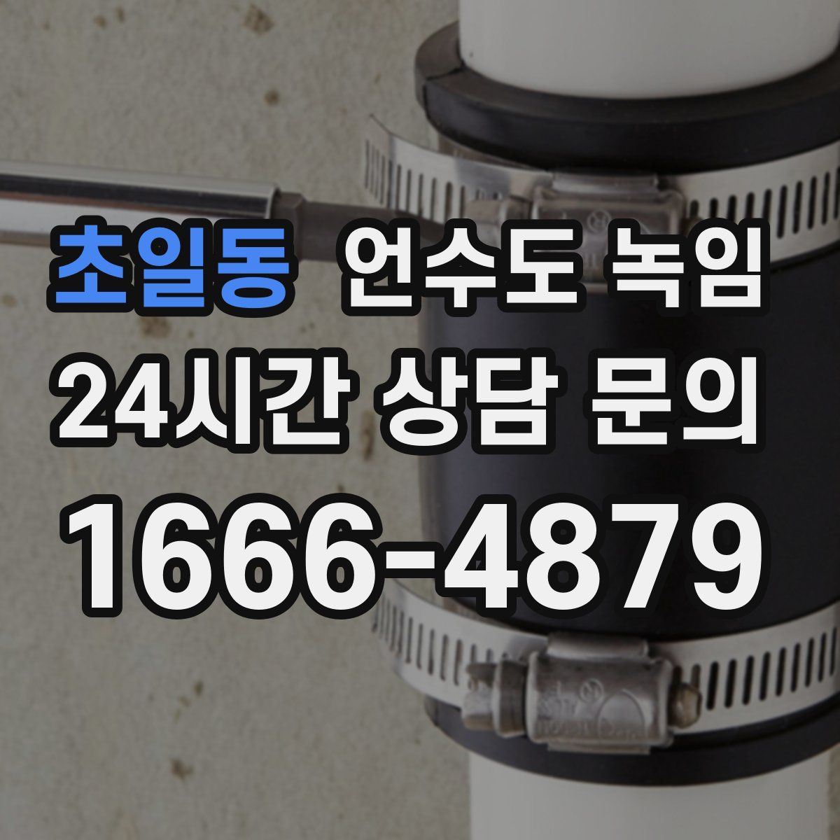 초일동 언수도 녹임