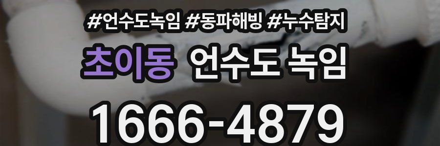 초이동 언수도 녹임