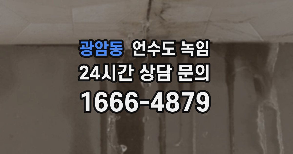 광암동 언수도 녹임