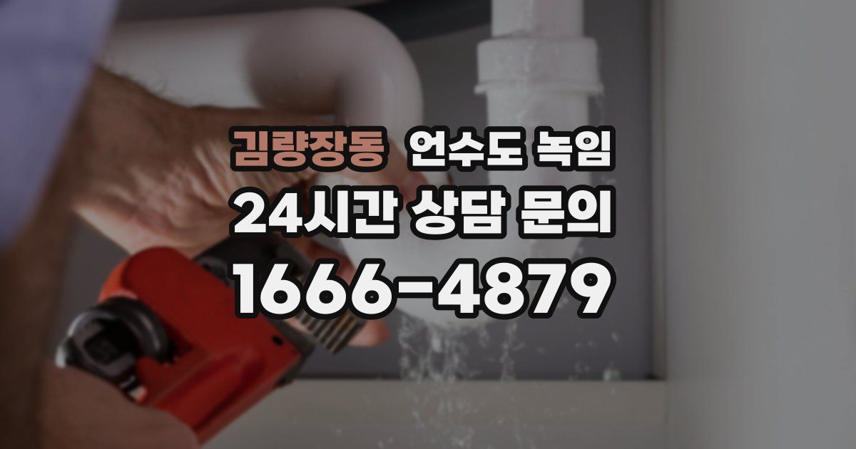 김량장동 언수도 녹임