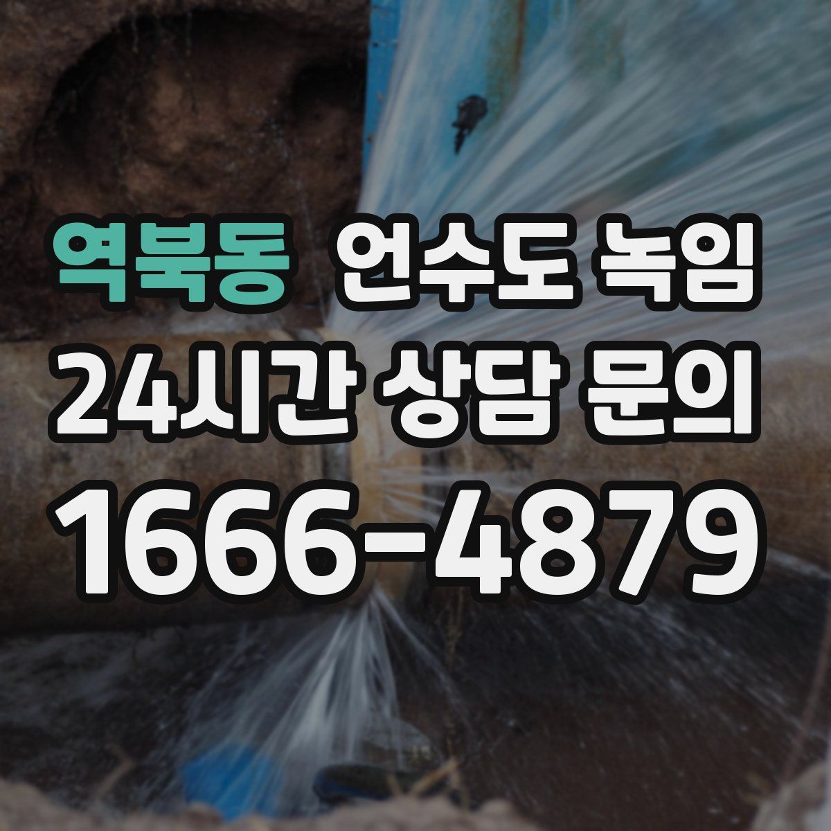 역북동 언수도 녹임