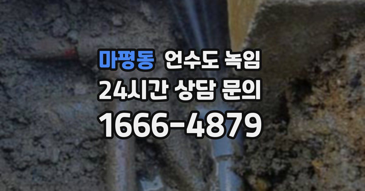 마평동 언수도 녹임