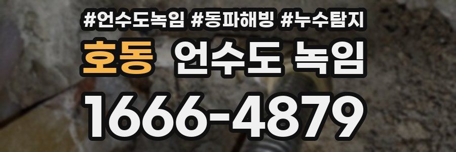 호동 언수도 녹임