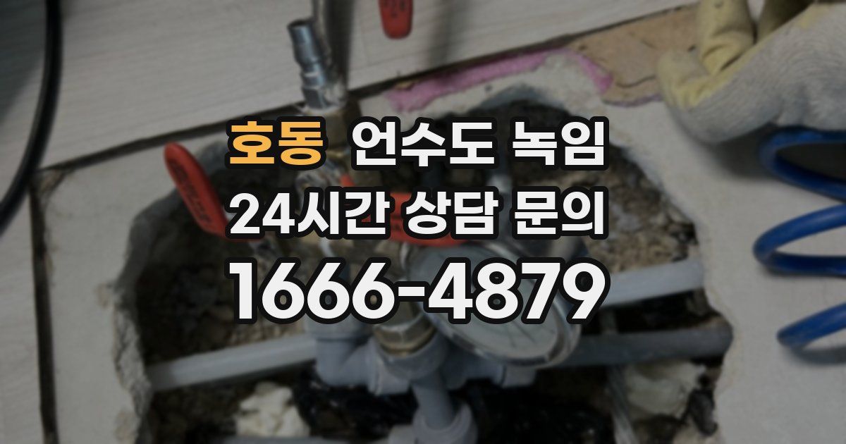 호동 언수도 녹임