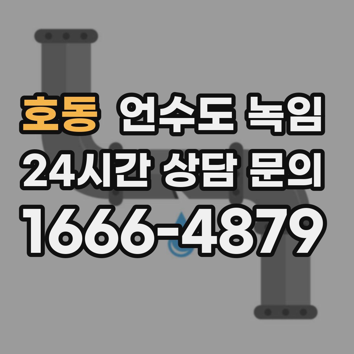 호동 언수도 녹임