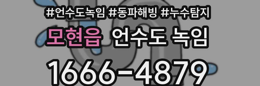 모현읍 언수도 녹임