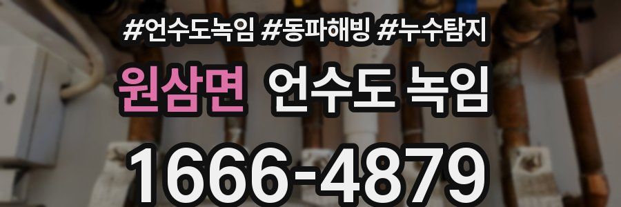 원삼면 언수도 녹임