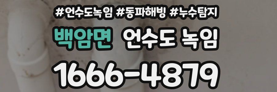 백암면 언수도 녹임