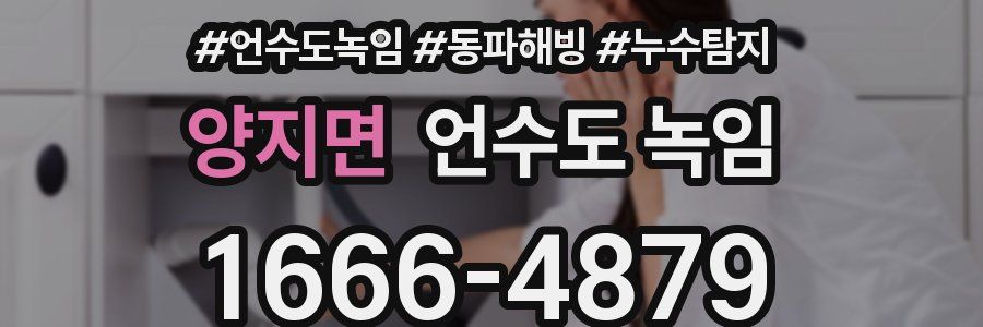 양지면 언수도 녹임