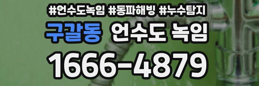 구갈동 언수도 녹임